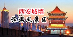 中国艹屄大片中国陕西-西安城墙旅游风景区